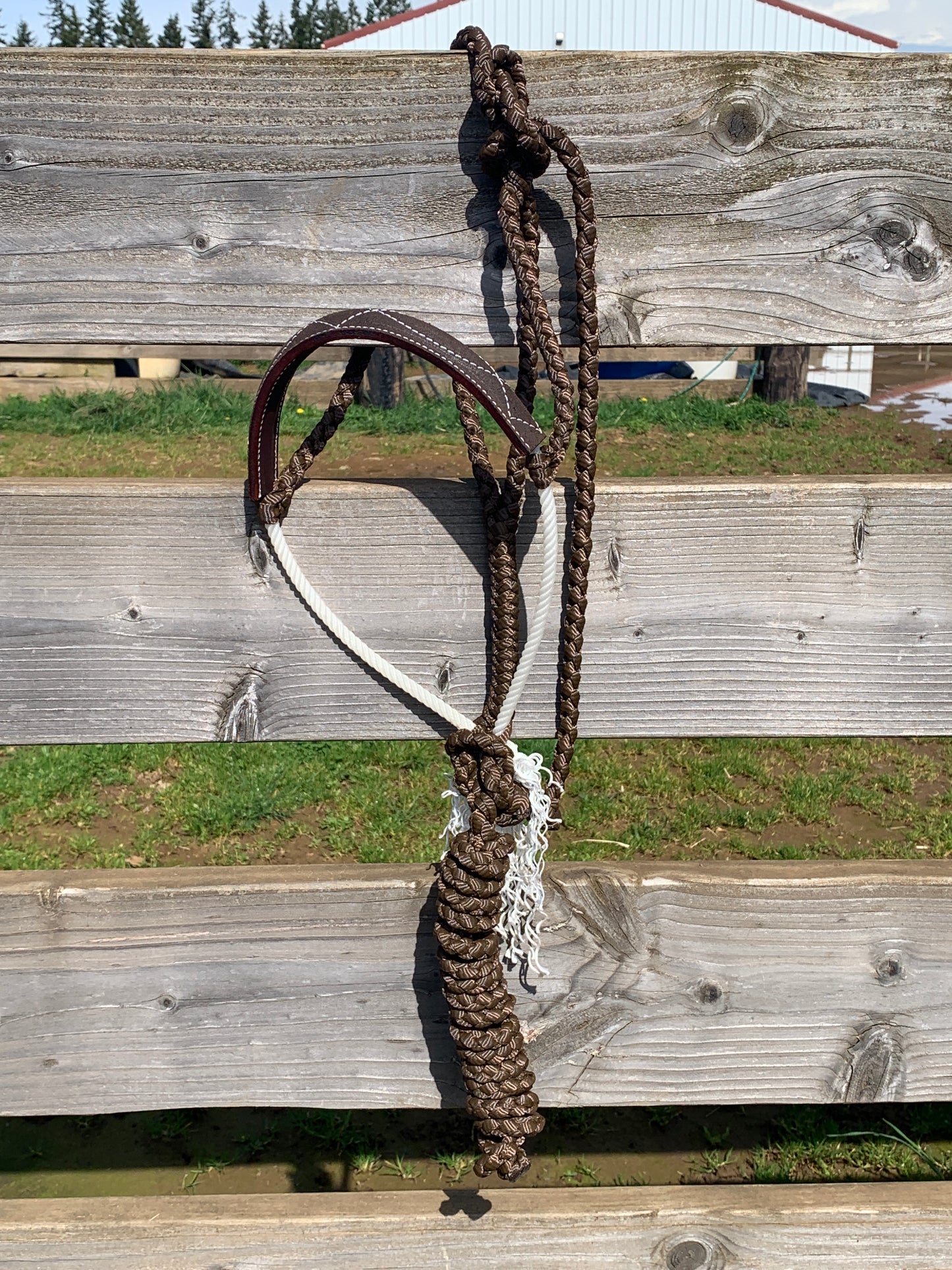 Chocolate gunslinger halter