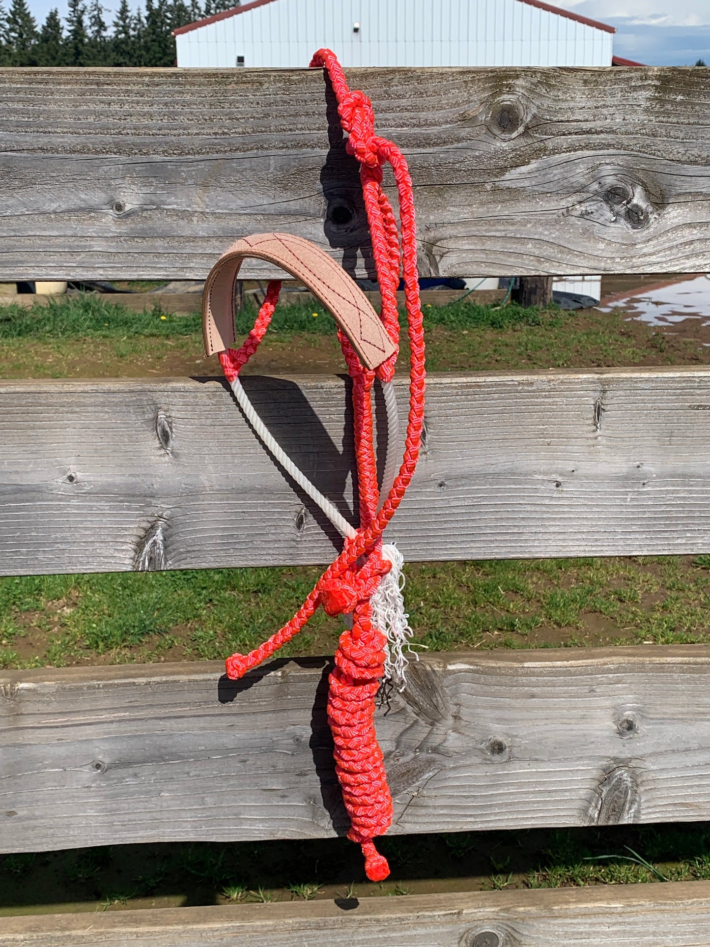 Pink gunslinger halter