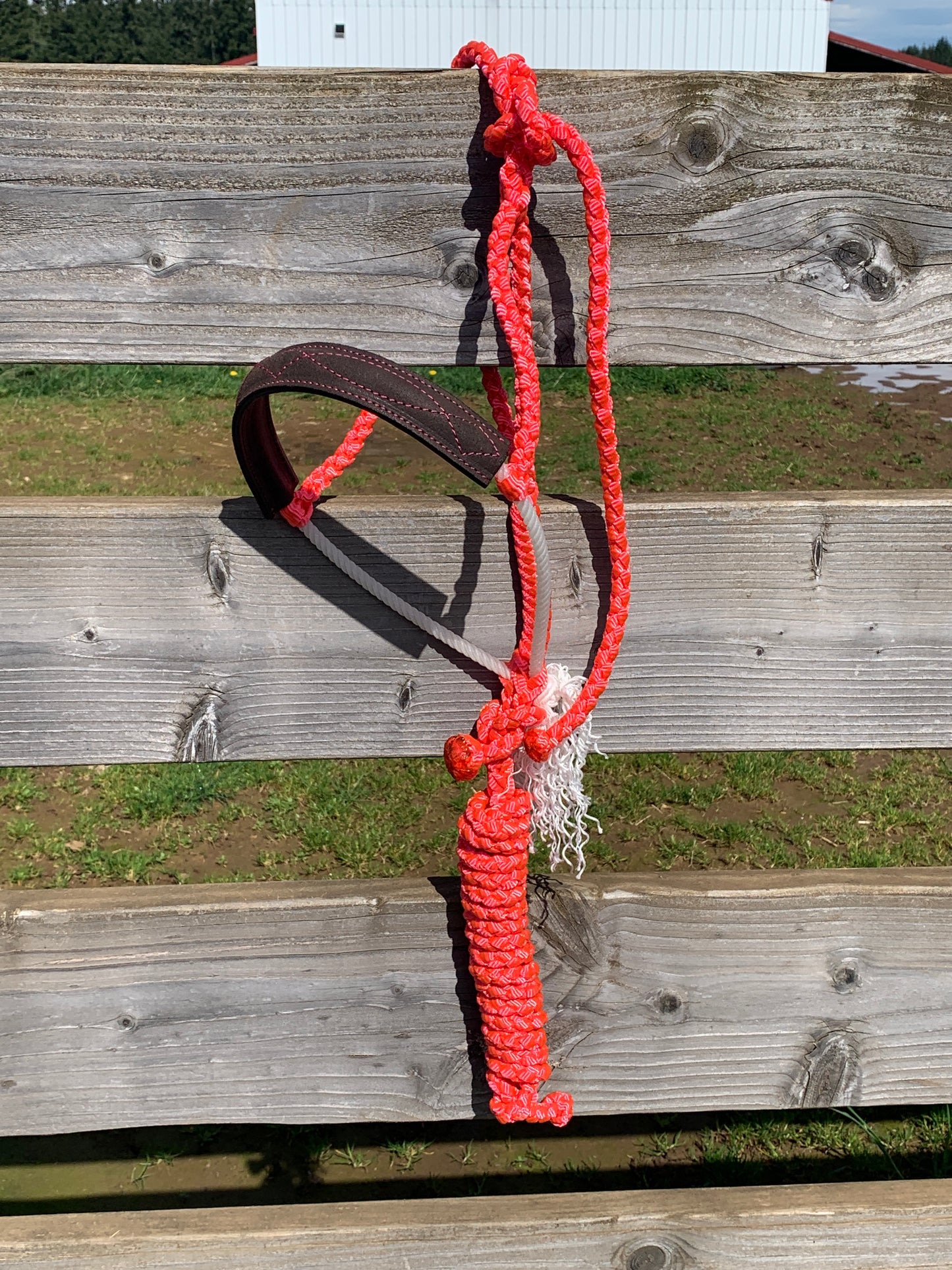 Pink gunslinger halter