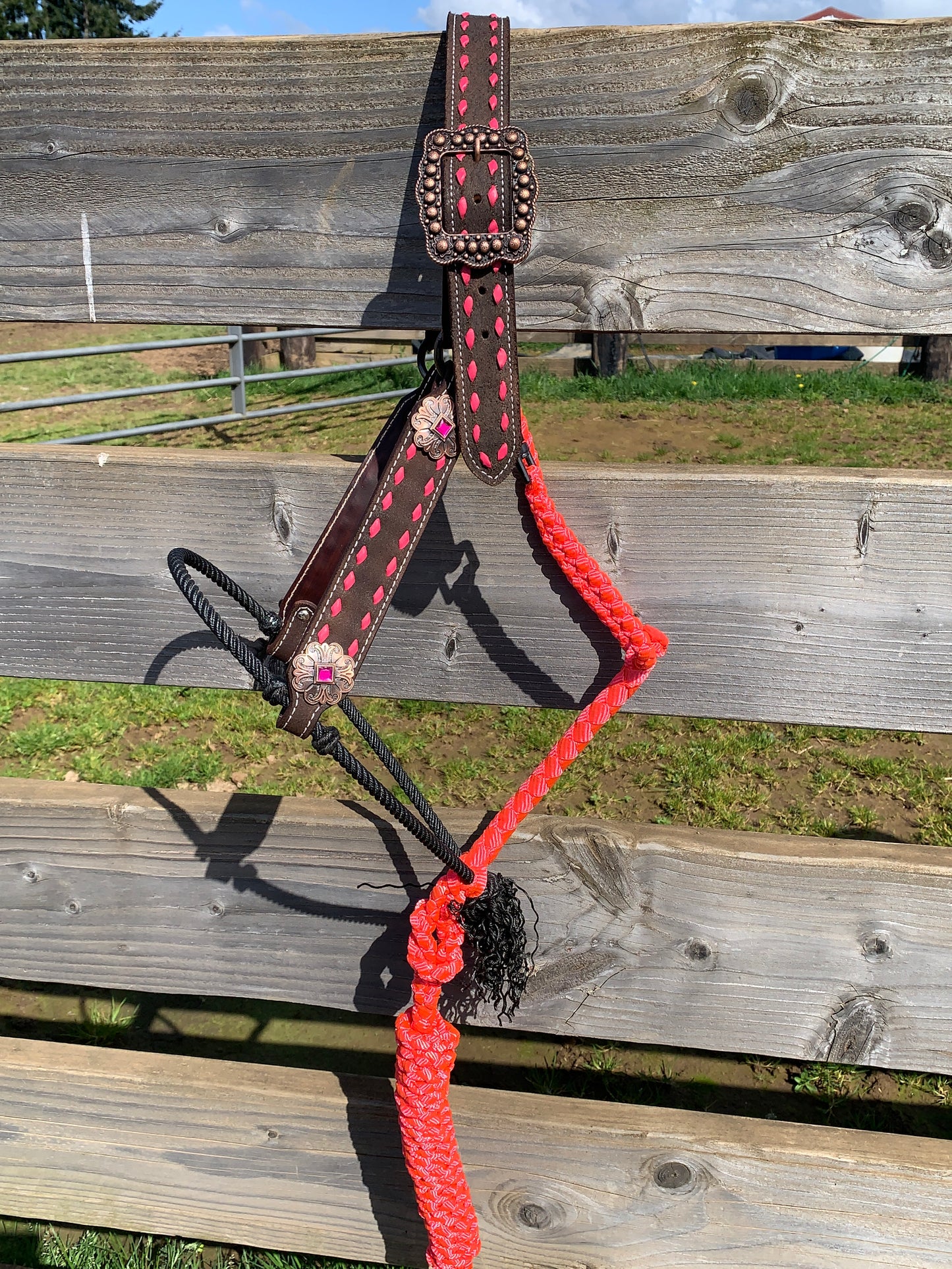Pink Hybrid Halter