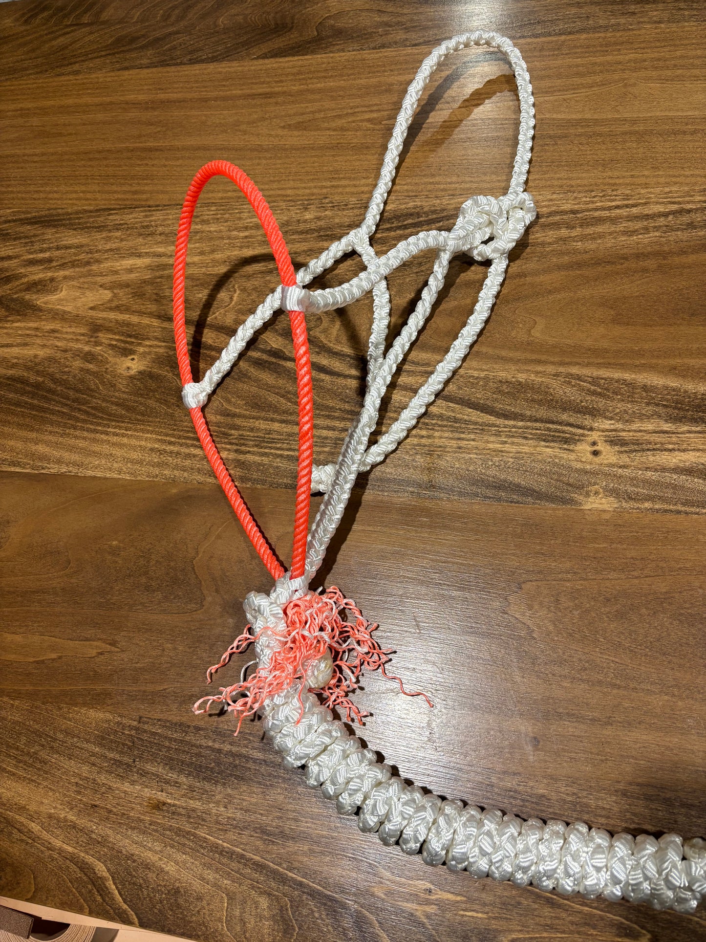 Muletape rope halter