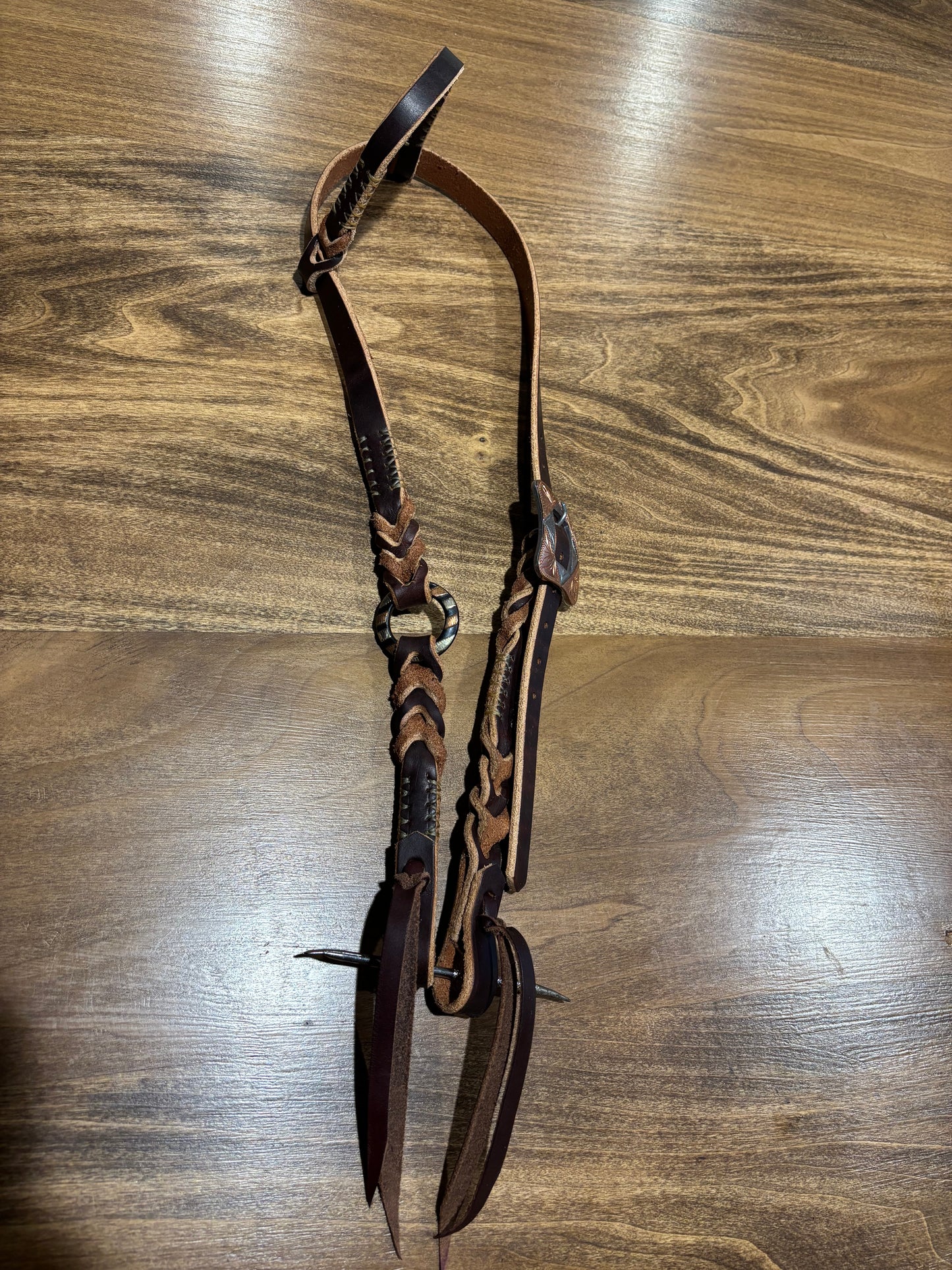 Single ear bridle