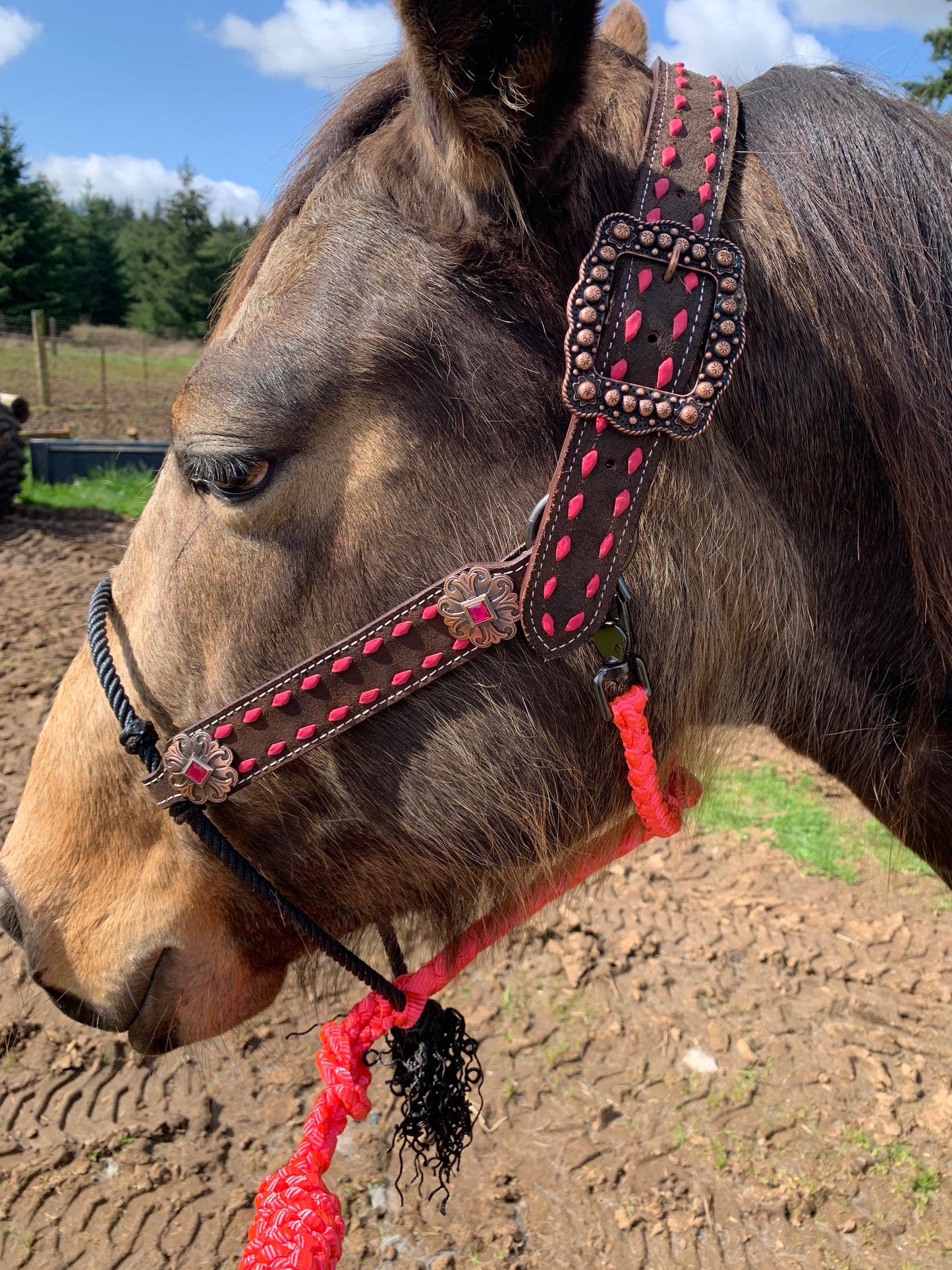 Pink Hybrid Halter