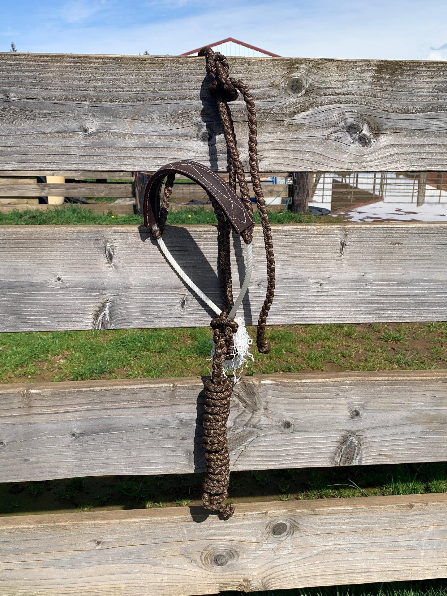 Chocolate gunslinger halter