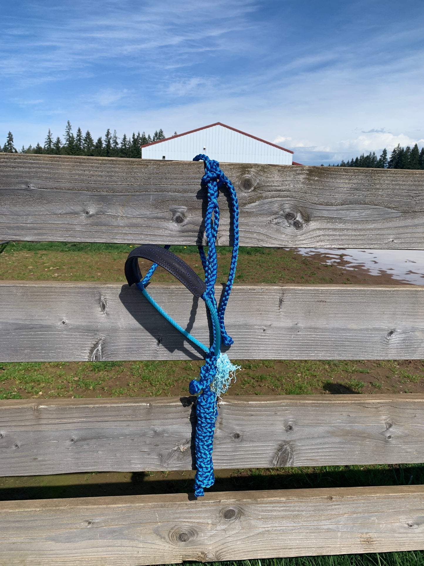 Blue gunslinger halter