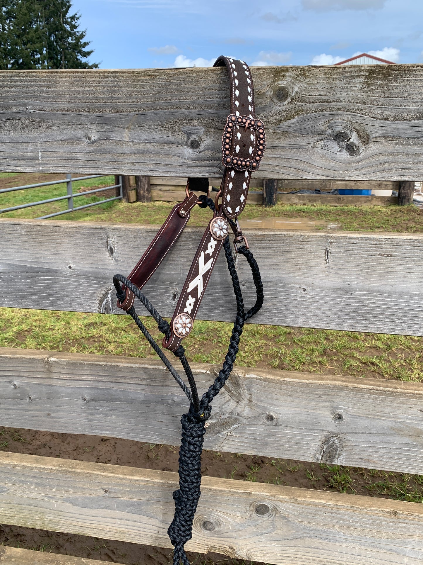 Hybrid Halter