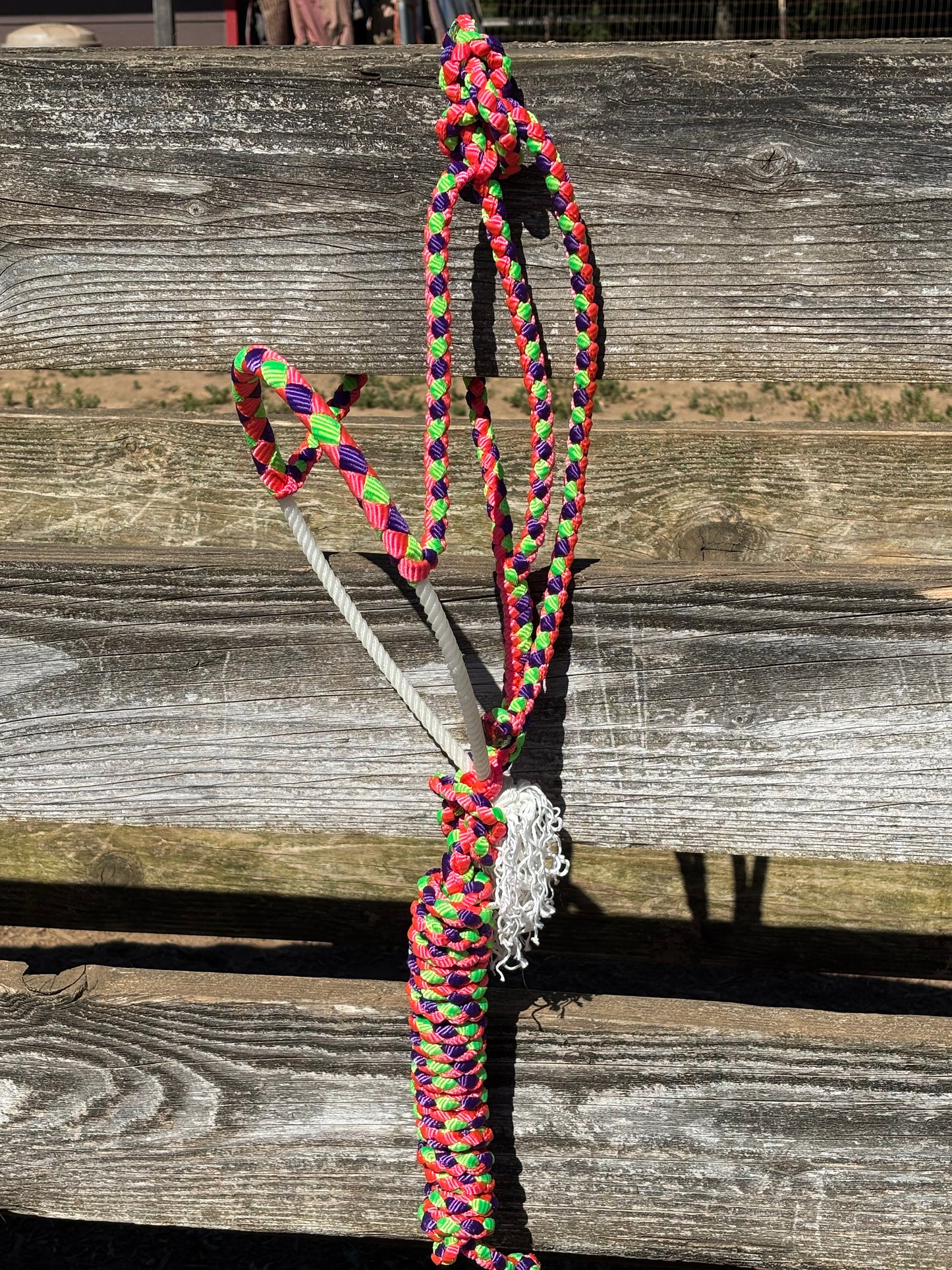 Mardigras Rope Halter