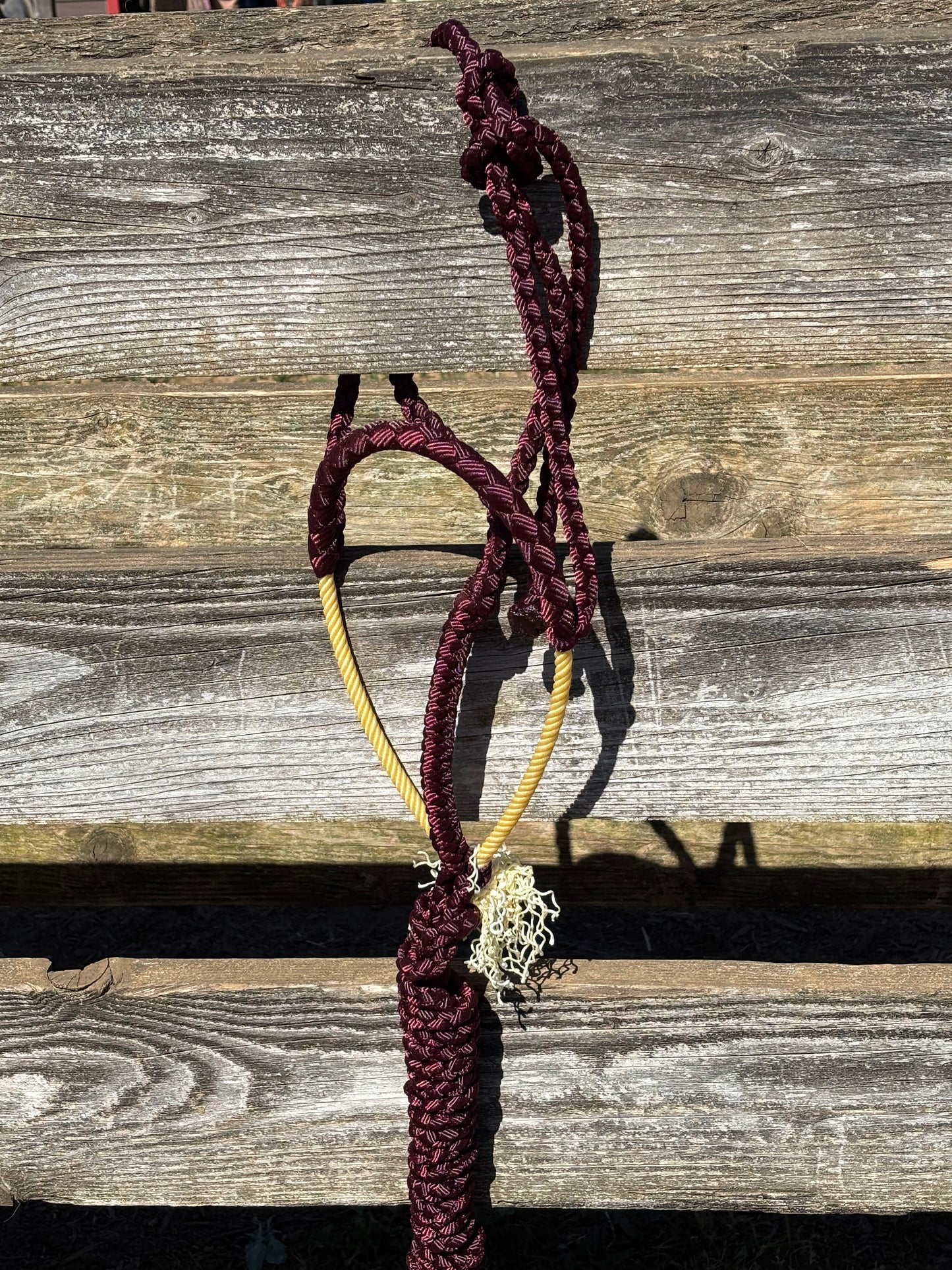 Burgundy rope halter