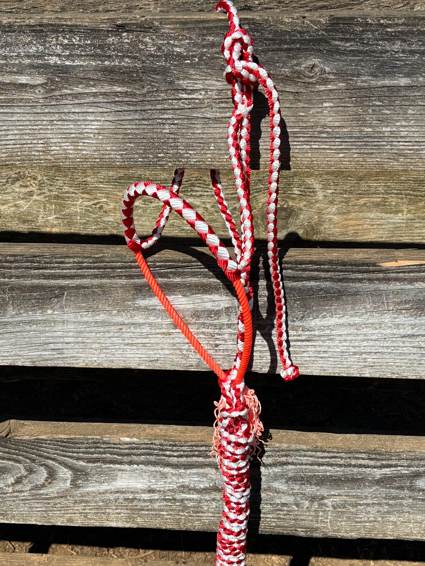 Red and white rope halter