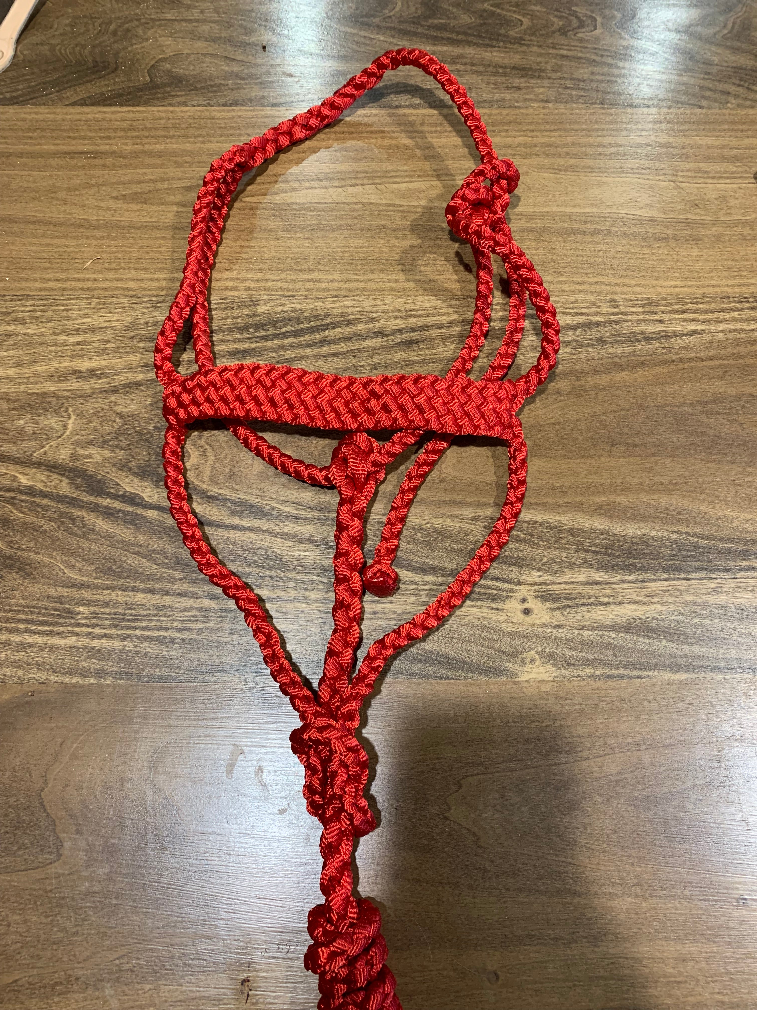 2024 Red Double Twist Muletape Halter