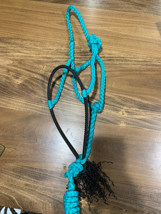 Turquoise rope halter