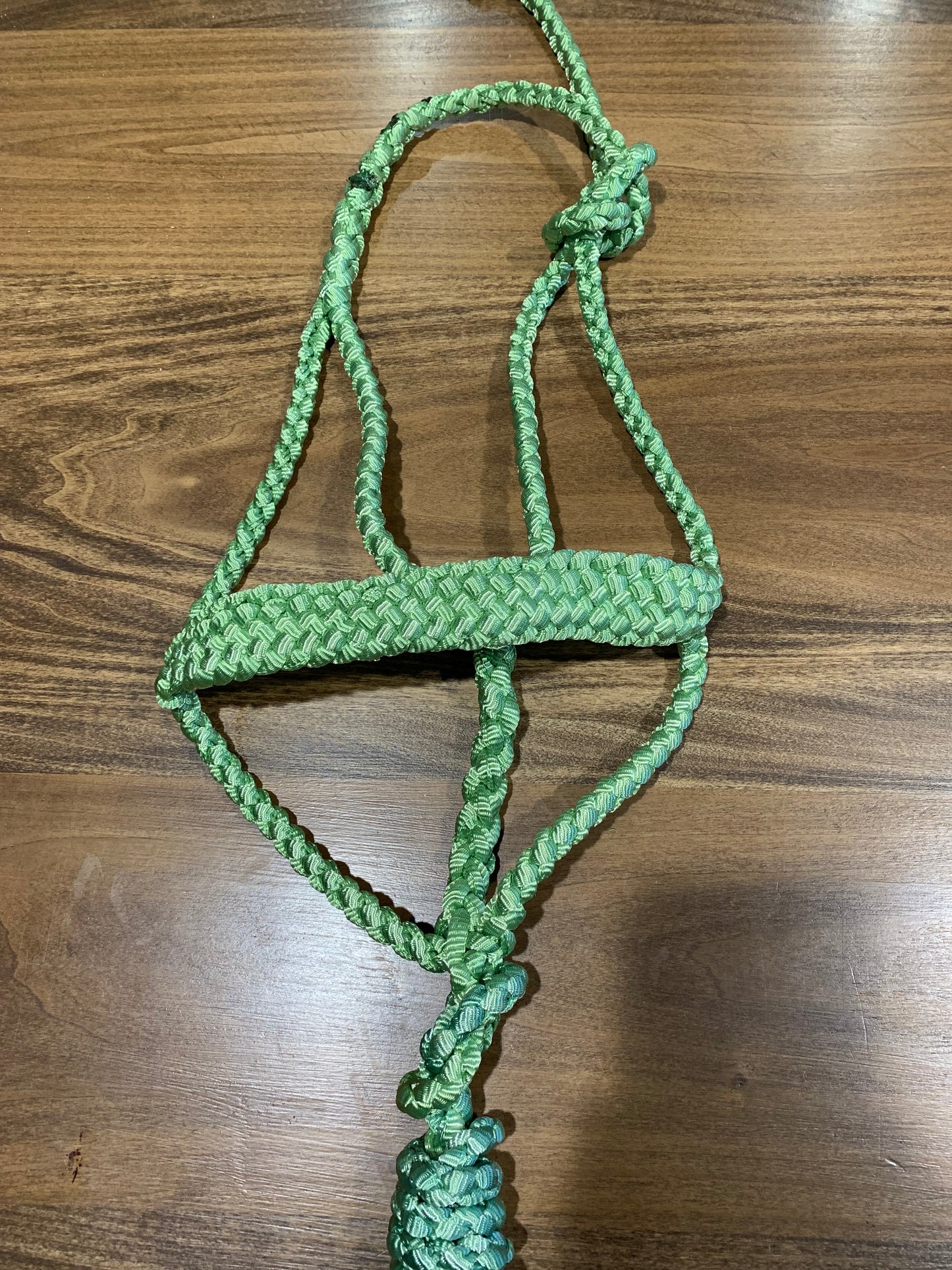 Lime Green Muletape Halter