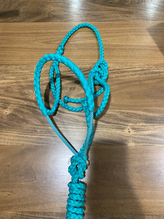 Turquoise rope halter