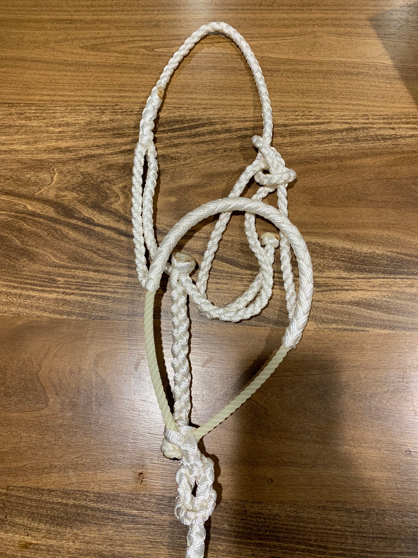 White rope halter