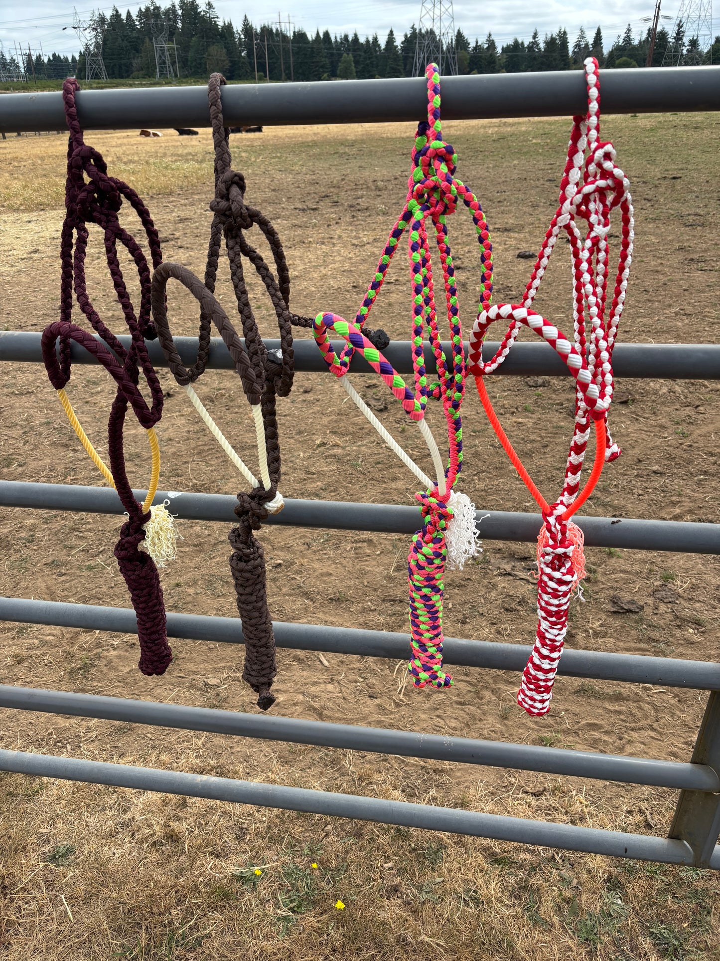 Custom Order Rope Halter