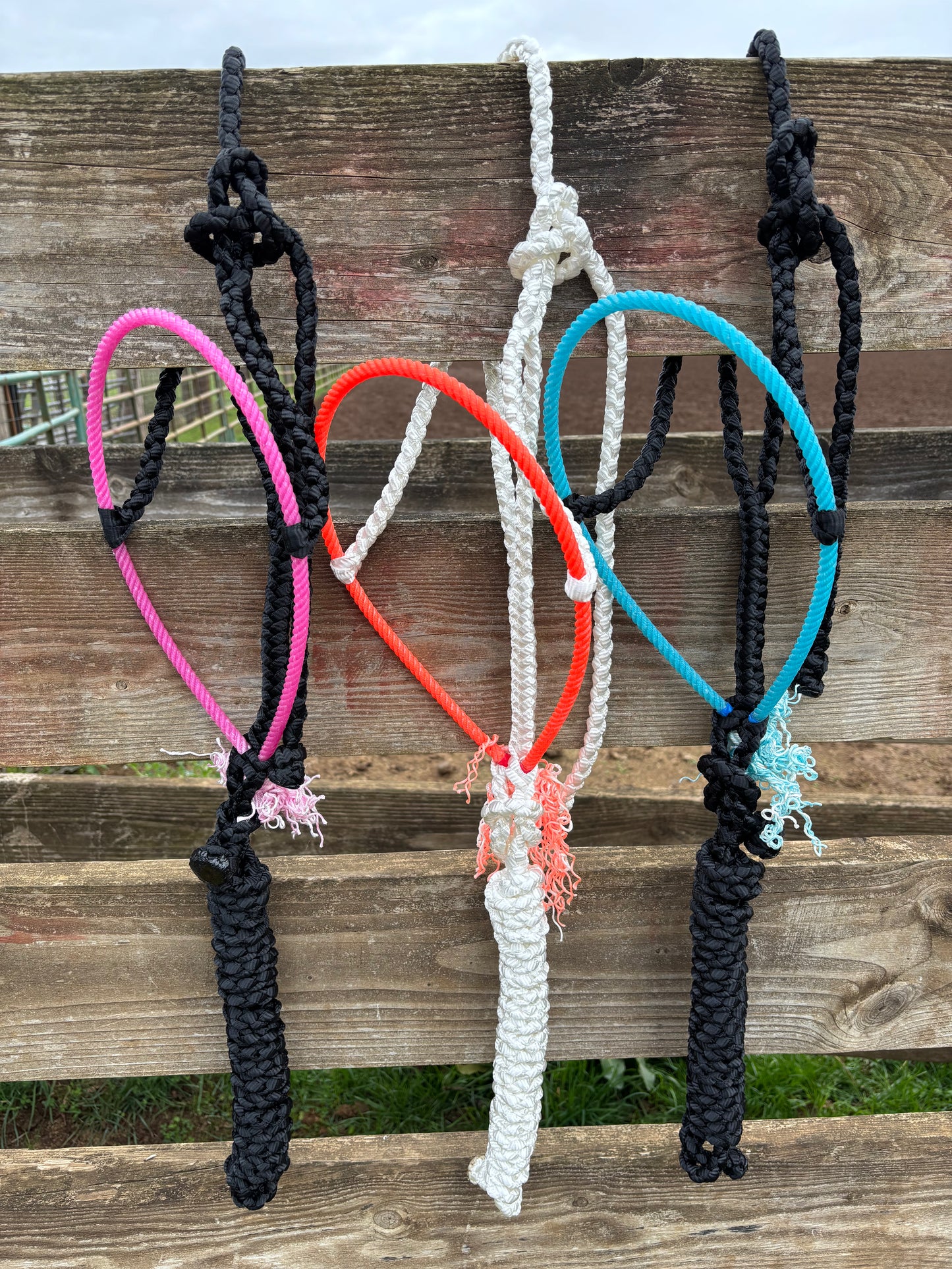 Custom Order Rope Halter