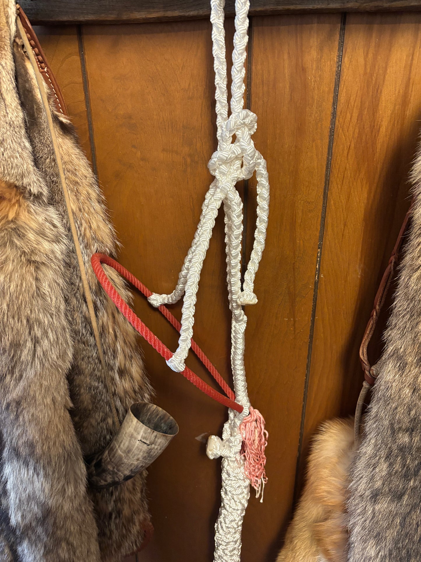 White rope halter