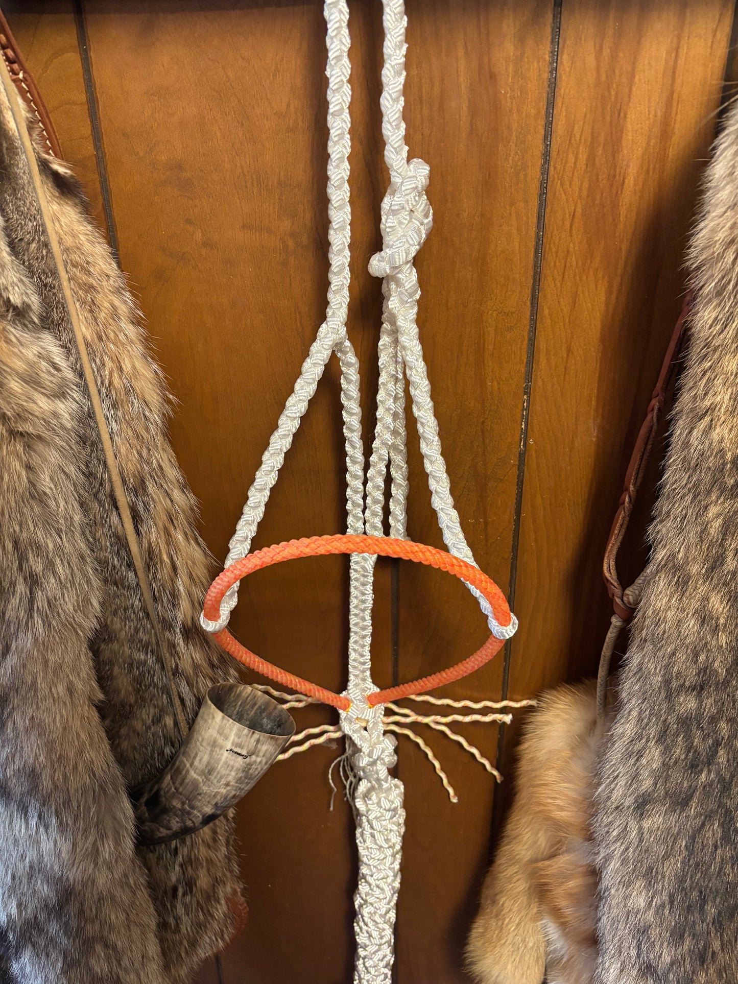 White rope halter