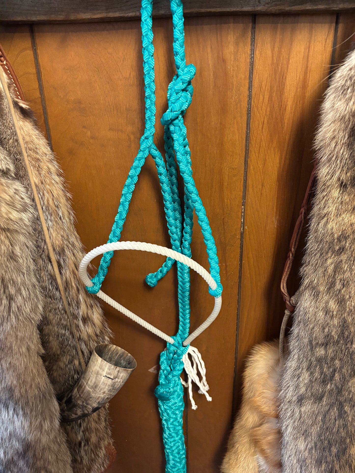 Turquoise rope halter