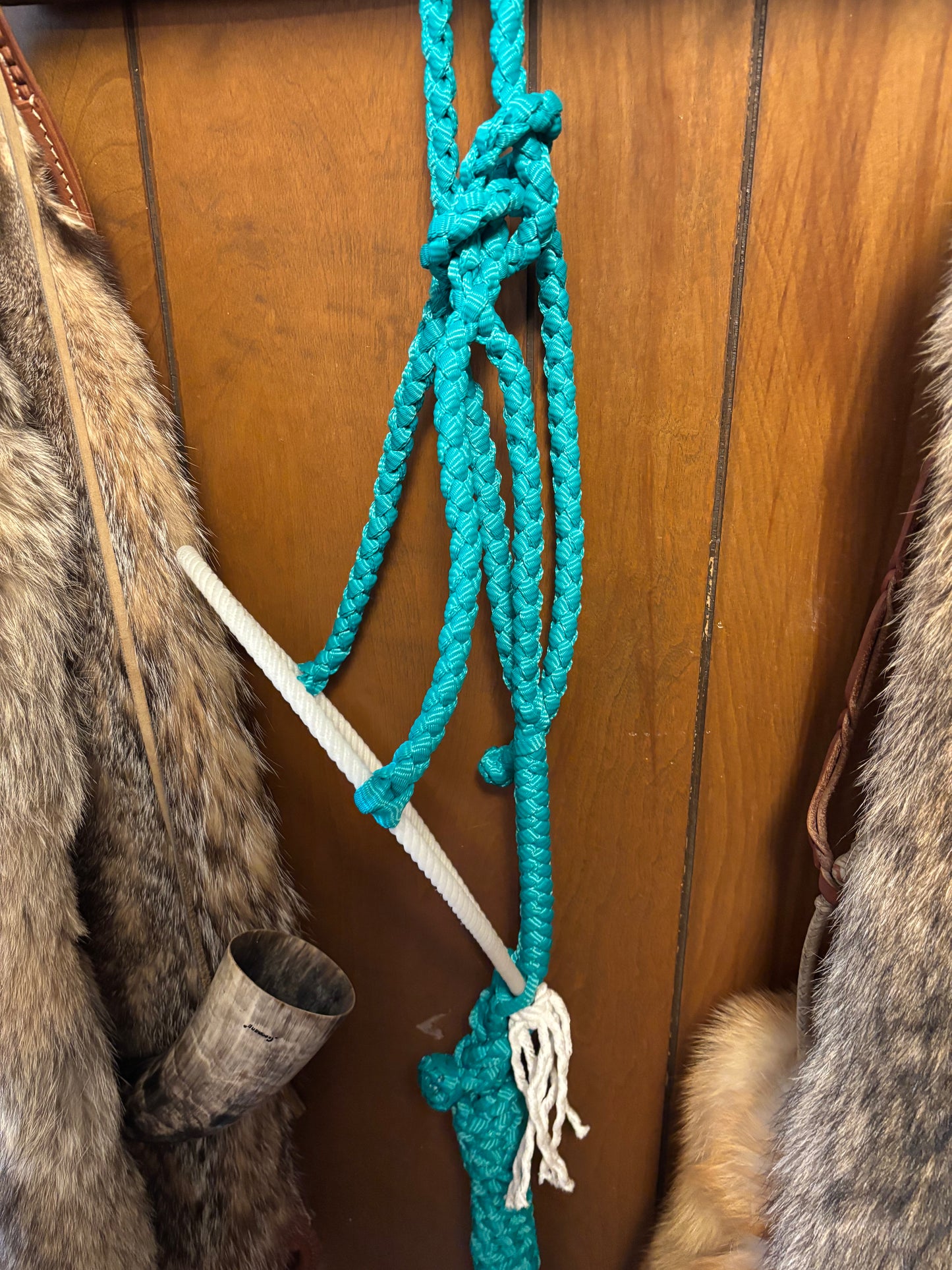 Turquoise rope halter
