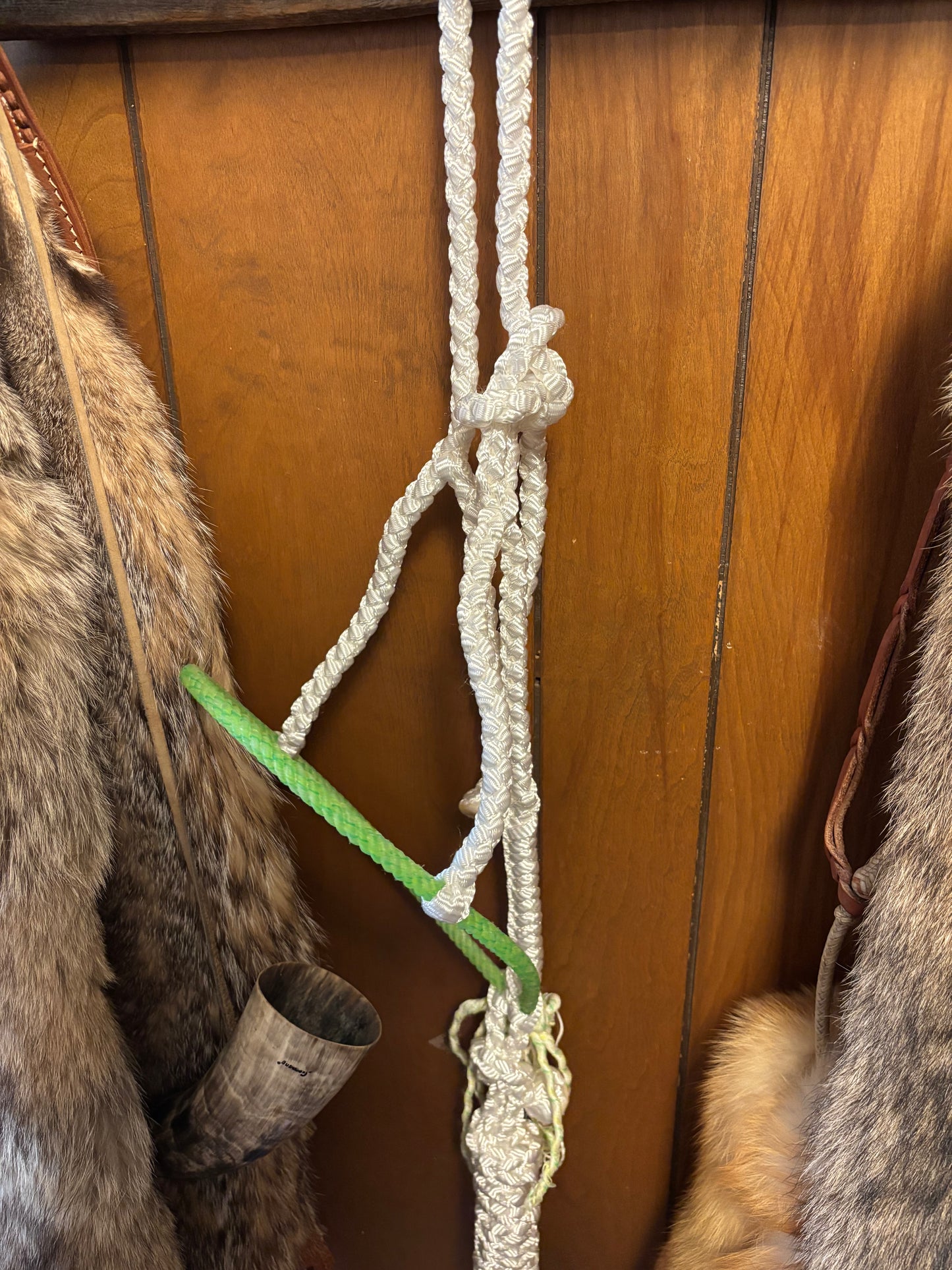 White rope halter
